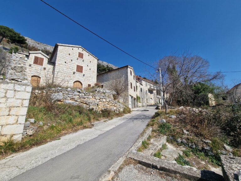 276008082 4940658922654957 7749767795046948420 n