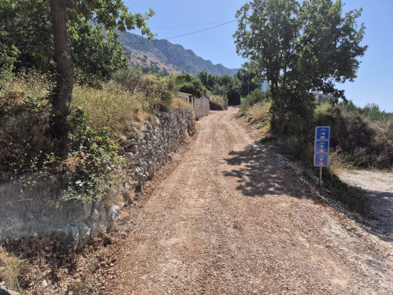 IMG 20240701 WA0004 1